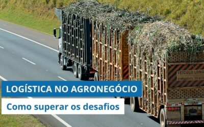 LOGÍSTICA NO AGRONEGÓCIO: Quais são os principais desafios e como superá-los