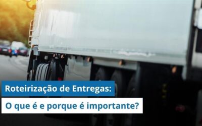 Roteirização de Entregas: O que é e por que esse processo é decisivo para a logística moderna? 